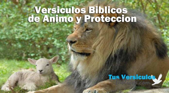 Versiculos Biblicos de Animo y Proteccion
