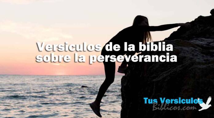 23 versiculos de la biblia sobre la perseverancia